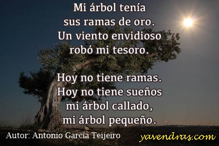 Mi árbol tenía - Poema de Antonio García Teijeiro